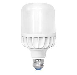 ĐÈN LED BULB 12W ROMAN ELB7026/12
