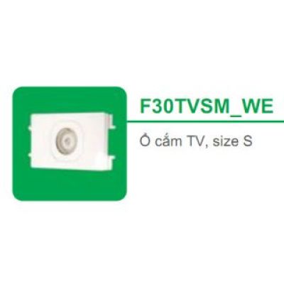 Ổ cắm Tivi, size S F30TVSM_WE_G19