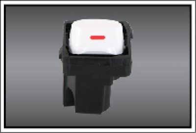 Công tắc 1 chiều 10A A30/1/2M-1D